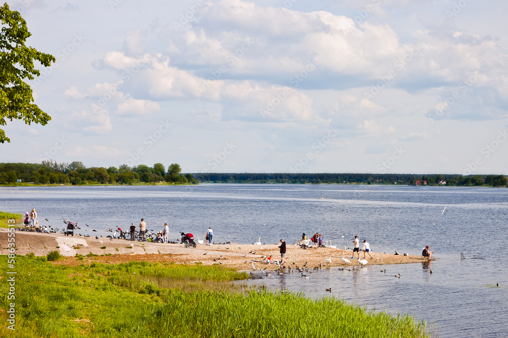 summer landscape, in the photo people on the pier feed the birds, in the foreground is the river bank, in the background is the river, forest and sky with clouds summer landscape, in the photo people on the pier feed the birds, in the foreground is the river bank, in the background is the river, forest and sky with clouds