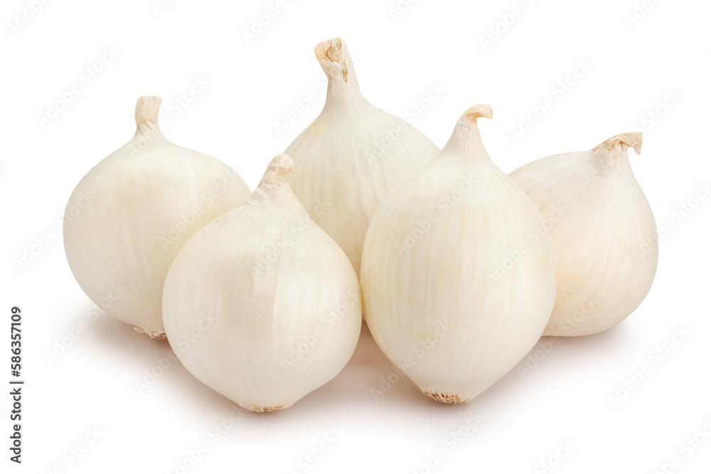 Fototapeta premium white onions path isolated on white