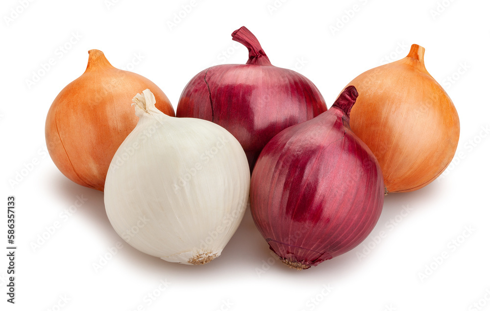 colorful onions path isolated on white