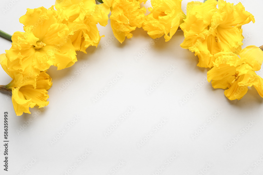 Frame of beautiful narcissus flowers on light background Frame of beautiful narcissus flowers on light background