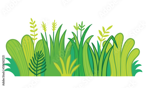 Grass on a white background. Vector illustration
