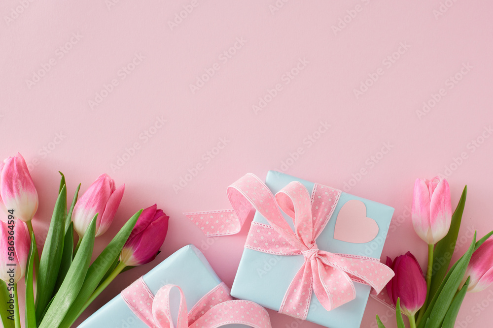 Flat lay photo of gift boxes with bows pink tulips flowers on isolated pastel pink background with empty space. Mother's Day mood concept.