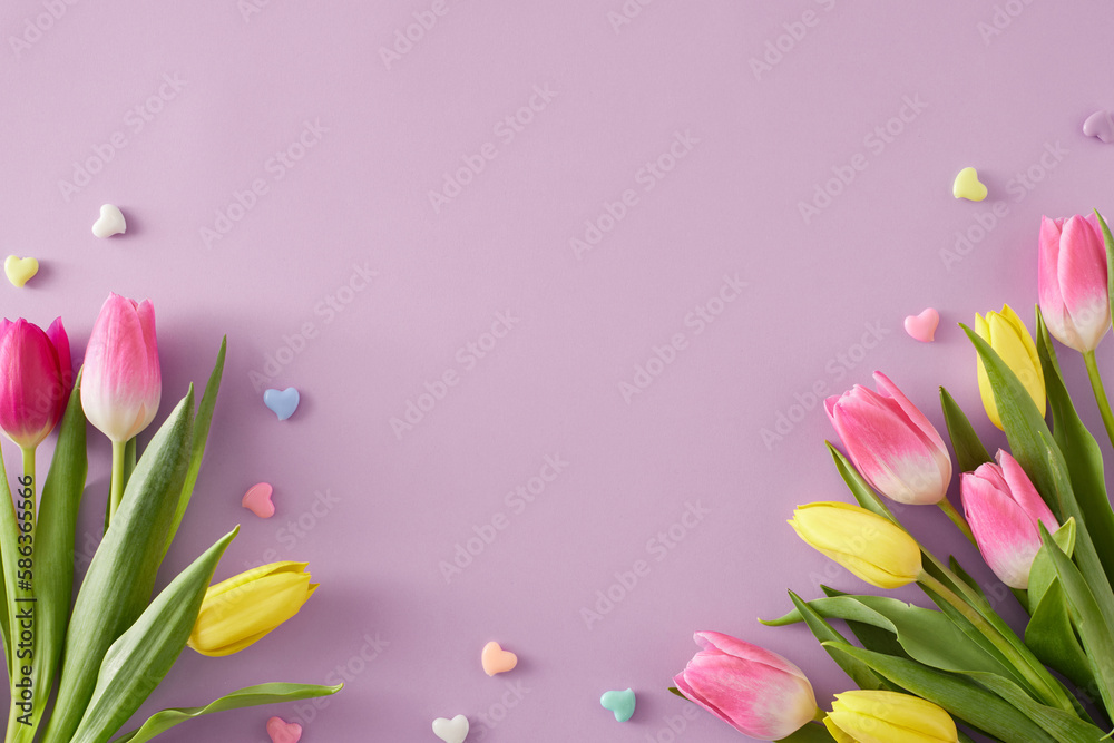 Mother's Day atmosphere idea. Top view composition of bouquets of pink yellow tulips flowers and colorful hearts baubles on isolated light violet background with copyspace - obrazy, fototapety, plakaty 