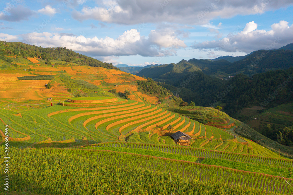 Fototapeta premium Aerial top view of fresh paddy rice terraces, green agricultural fields in countryside or rural area of Mu Cang Chai, mountain hills valley in Asia, Vietnam. Nature landscape background.