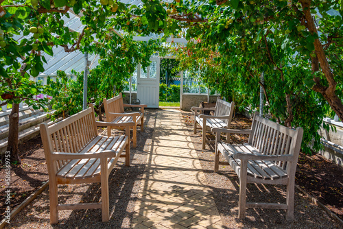 Kitchen garden at Grasten Palace in Denmark photo