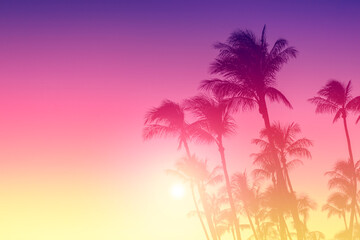 Silhouette of palm trees on sunset sky background