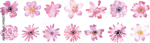 水彩で描いた春の植物挿絵。ピンクのコスモスイラスト。ピンクの花びらイラストセット。Spring botanical illustration in watercolor. Pink cosmos illustration. Pink petals illustration set.