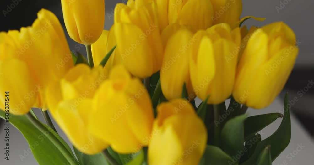 Bright summer bouquet of yellow tulips in band decorated glass vase. Pedestal close up shot of greenery and buds. Bright summer bouquet of yellow tulips in band decorated glass vase. Pedestal close up shot of greenery and buds.