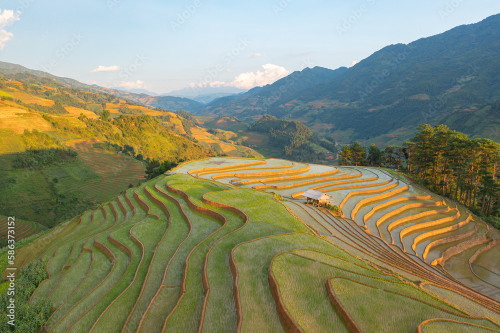 Fototapeta premium Aerial top view of fresh paddy rice terraces, green agricultural fields in countryside or rural area of Mu Cang Chai, mountain hills valley in Asia, Vietnam. Nature landscape background.
