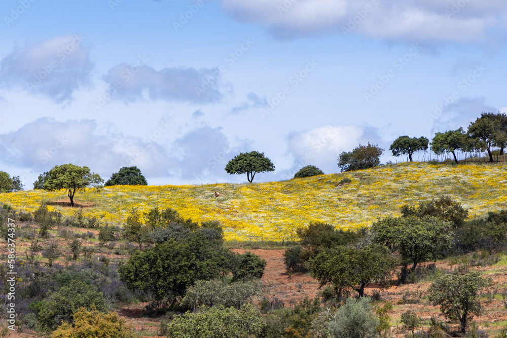 Europe, Portugal, Alandroal. Rural landscape near Alandroal.