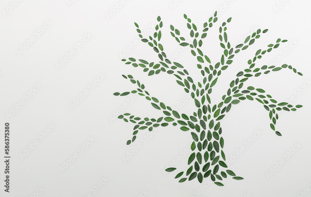 Naklejka premium Tree silhouette made of green Leaves on white Background. Creative natur concept. Aesthetic flat lay with copy space.