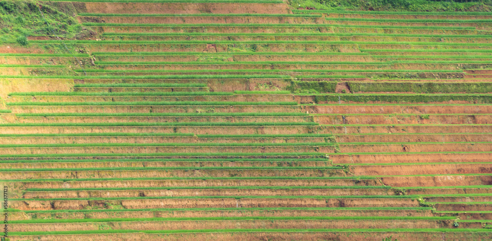 Aerial top view of fresh paddy rice terraces, green agricultural fields in countryside or rural area of Mu Cang Chai, mountain hills valley in Asia, Vietnam. Nature landscape background. Aerial top view of fresh paddy rice terraces, green agricultural fields in countryside or rural area of Mu Cang Chai, mountain hills valley in Asia, Vietnam. Nature landscape background.