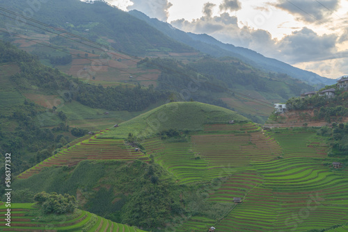 Fototapeta Naklejka Na Ścianę i Meble -  Aerial top view of fresh paddy rice terraces, green agricultural fields in countryside or rural area of Mu Cang Chai, mountain hills valley in Asia, Vietnam. Nature landscape background.