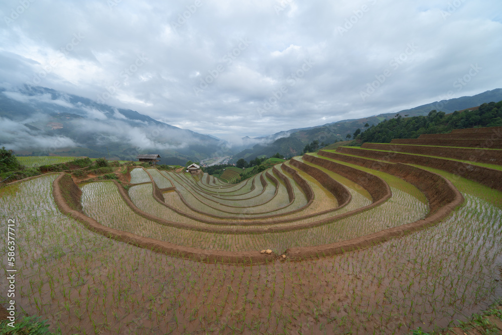 Aerial top view of fresh paddy rice terraces, green agricultural fields in countryside or rural area of Mu Cang Chai, mountain hills valley in Asia, Vietnam. Nature landscape background. Aerial top view of fresh paddy rice terraces, green agricultural fields in countryside or rural area of Mu Cang Chai, mountain hills valley in Asia, Vietnam. Nature landscape background.
