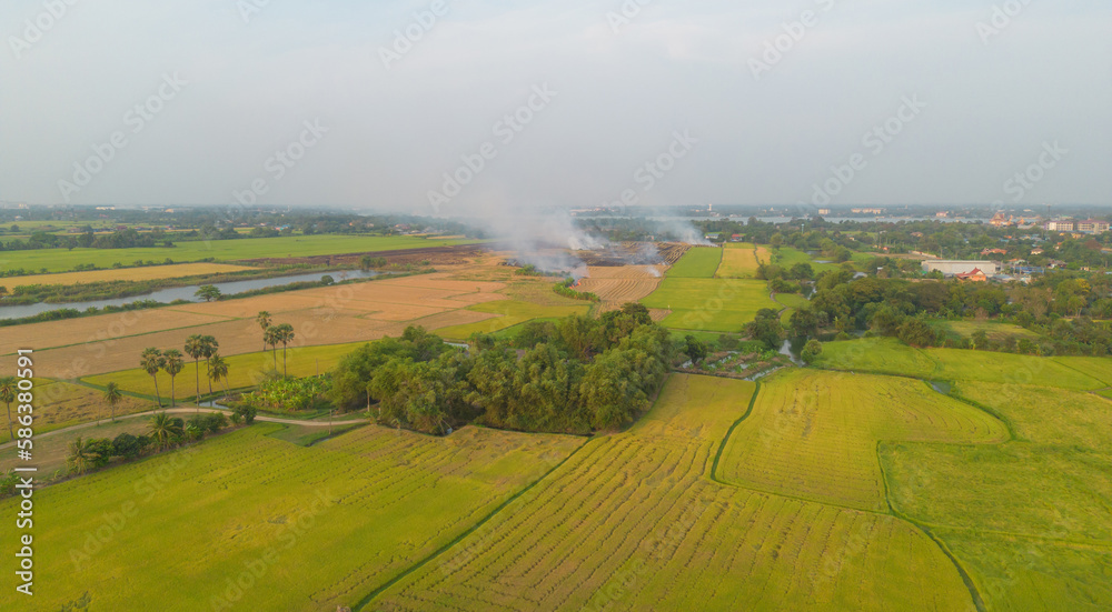 Aerial top view of fresh paddy rice, green agricultural field in countryside or rural area in Asia. Nature landscape background.