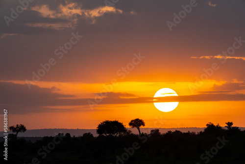 Beautiful orange colorful sunrise over the Masai Mara in Kenya  Africa