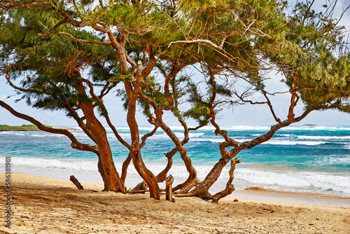 Fototapeta Naklejka Na Ścianę i Meble -  Beautiful Tropical Beach Park with Trees