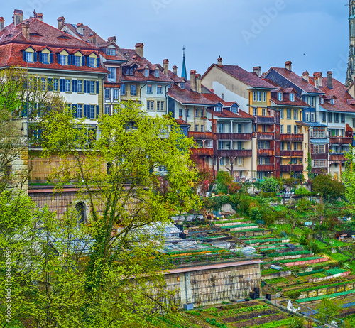 Stiftsgarten gardens on the slope of the Altstadt's hill of Bern, Switzerland photo