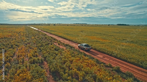 Farmer driving pickup truck in soy farm