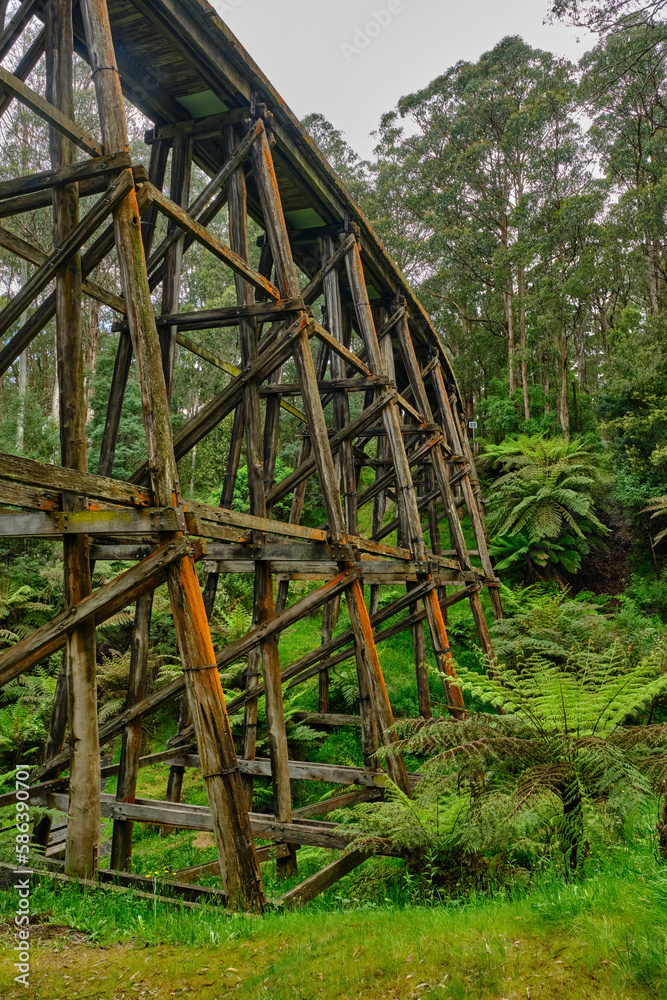 The Noojee Trestle Bridge is an impressive 100-metre long (330 ft) trestle bridge. The trail follows the alignment of the former Noojee railway line. The Noojee Trestle Bridge is an impressive 100-metre long (330 ft) trestle bridge. The trail follows the alignment of the former Noojee railway line.