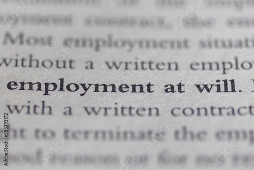 employment at will printed in text on page as visual aid or business law reference