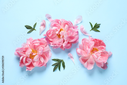 Beautiful pink peonies on light turquoise background, flat lay