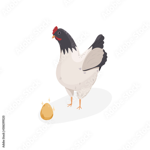 Czarno-biały kurczak i błyszczące jajko. Stojąca kura znosząca złote jajka.. Element do wykorzystania w projektach. Ilustracja wektorowa.