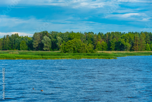 Natural landscape of Sirvenos lake in Birzai, Lithuania photo