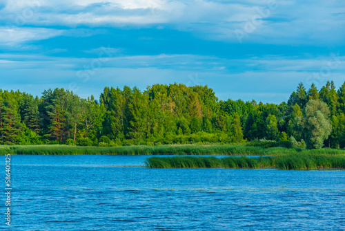 Natural landscape of Sirvenos lake in Birzai, Lithuania photo