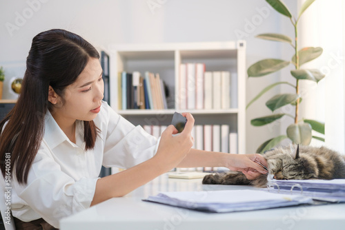 Happy young Asian woman using modern smartphone for taking pictures of her lovley cat on working desk at home office. photo