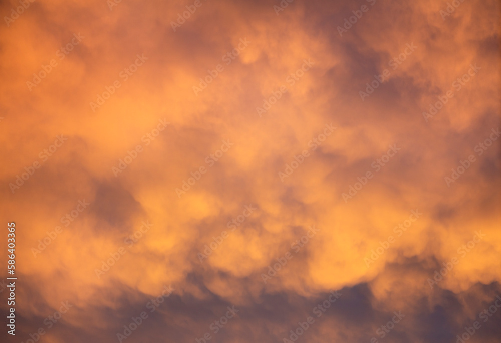 Altocumulus clouds in the sky during sunset