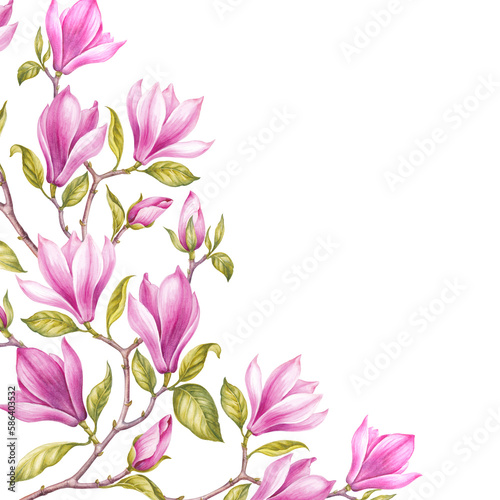 Pink frame flower magnolia on white background. Watercolor floral illustration