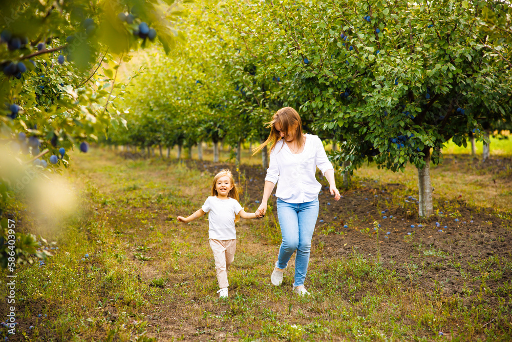 Mother and daughter are playing and running around a plum orchard on a beautiful morning.