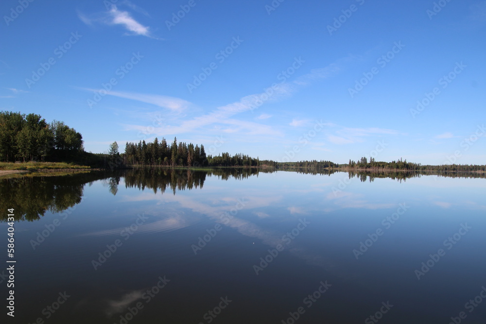 reflection of trees on the lake