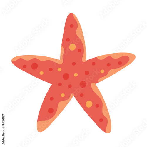 starfish animal tropical