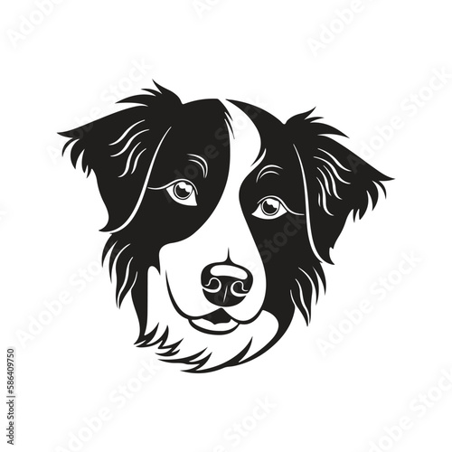 border collie dog, vector concept digital art, hand drawn illustration
