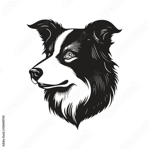 Print op canvas border collie dog, vector concept digital art, hand drawn illustration