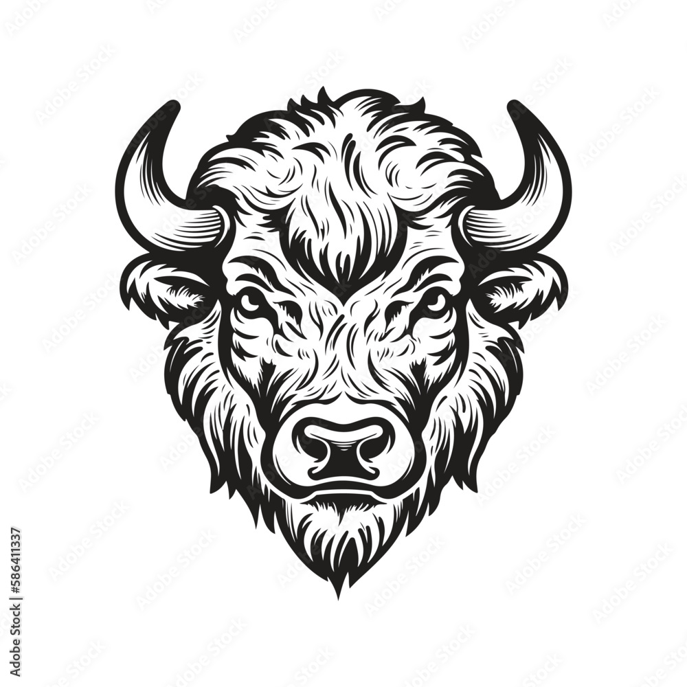 bison head, vector concept digital art, hand drawn illustration