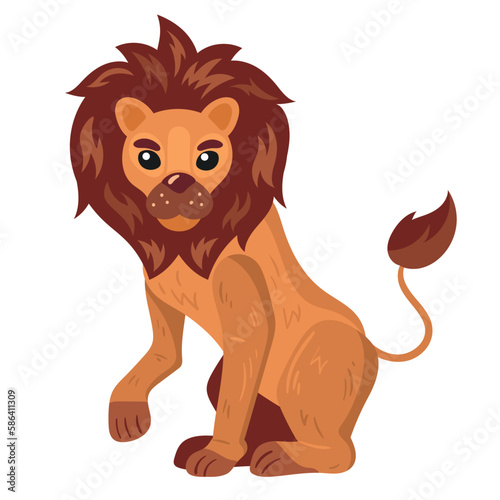 wild animal lion
