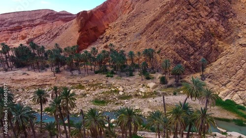 drone shot of a river in a canyon surrounded by palm trees photo