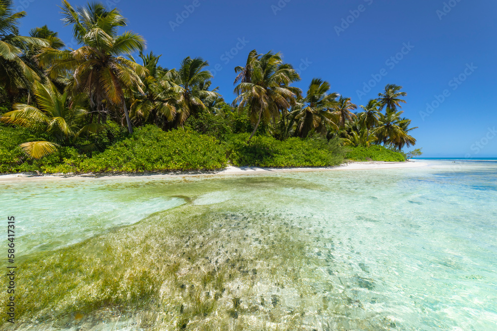 Tropical beach in caribbean sea, idyllic Saona island, Dominican Republic