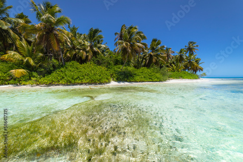 Obraz na płótnie Tropical beach in caribbean sea, idyllic Saona island, Dominican Republic w salonie