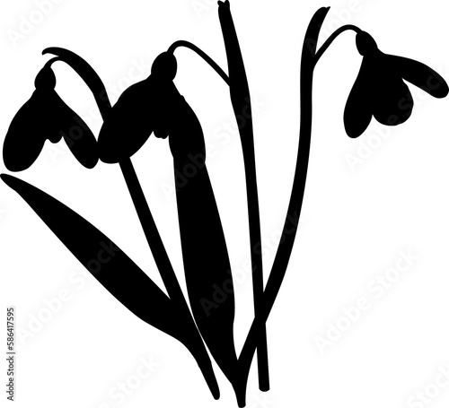 Illustration of three shoots of early first spring flowers snowdrops. Shape.
Galánthus nivális graphic. Illustration of three flowers snowdrops on transparent background.