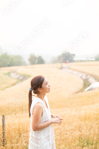 Young Asian women  in white dresses sitting in the Barley rice field season golden color of the wheat plant at Chiang Mai Thailand
