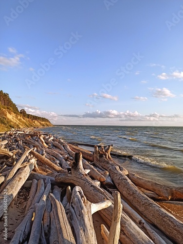 wooden bridge over the sea