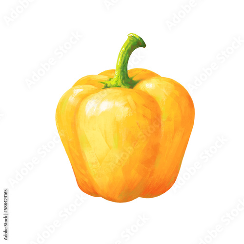 Sweet pepper, Hand drawn Digital painting