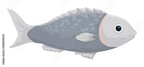 Gray fish in cartoon style on white background, Vector illustration