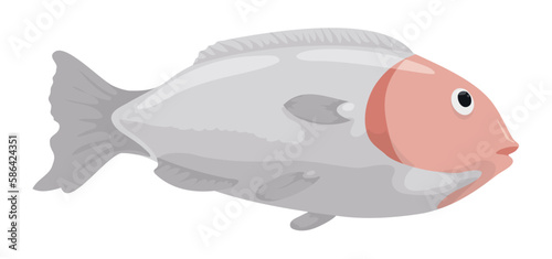 Delicious gray fish with spiny fins in cartoon style, Vector illustration