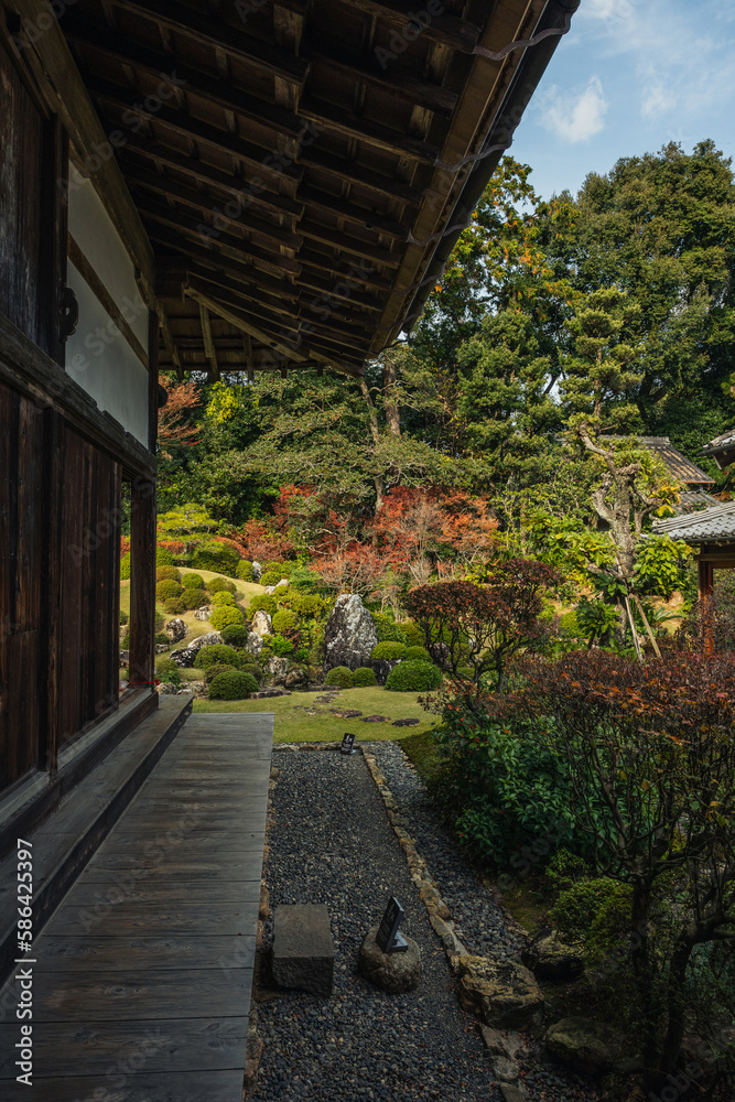 日本庭園と続く廊下