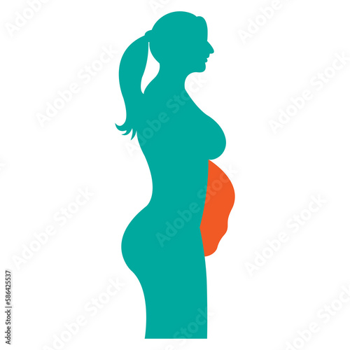 woman belly fat